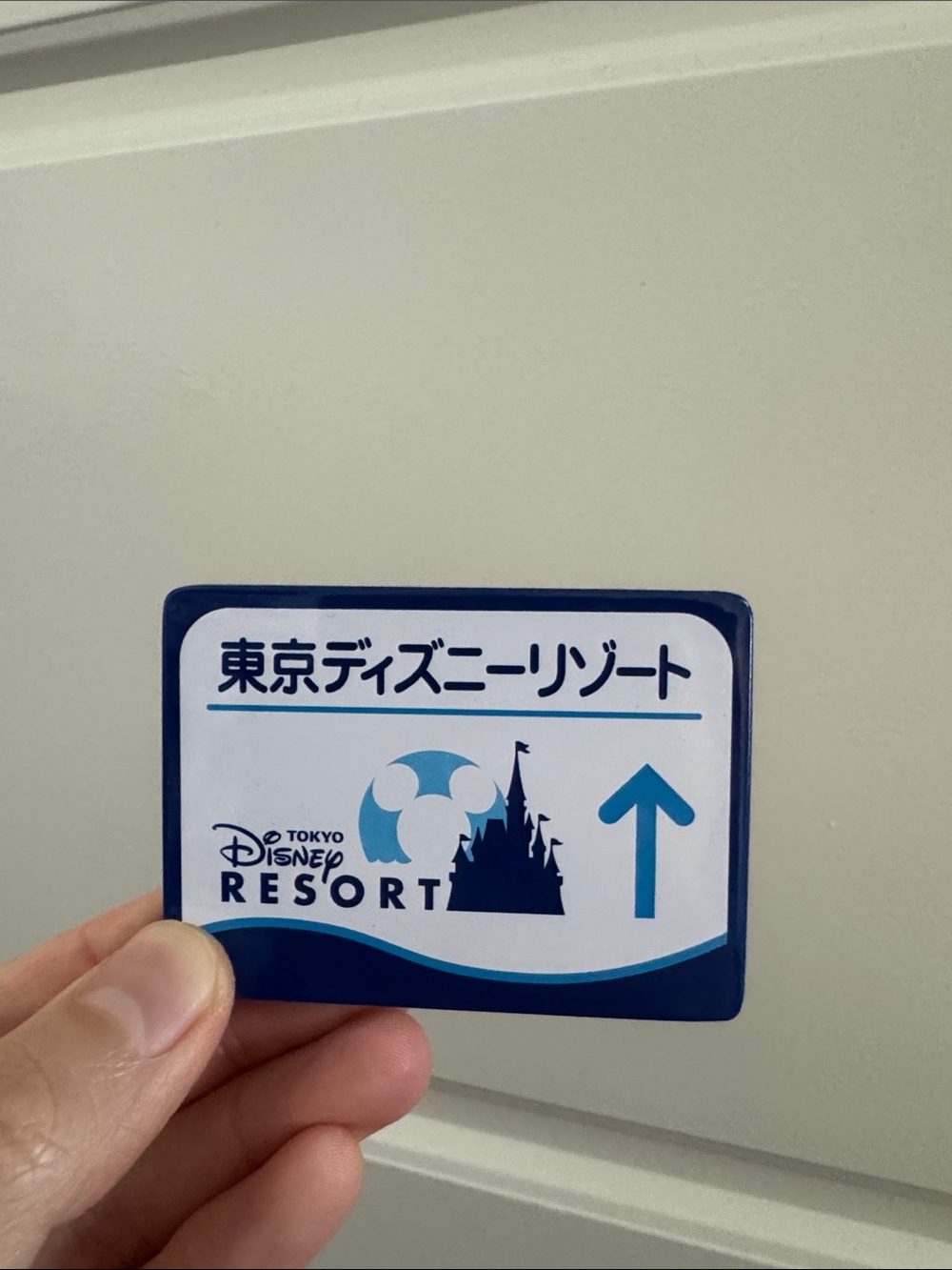 Tokyo Disney Resort Magnet — Blue & White